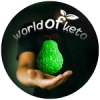 world of keto